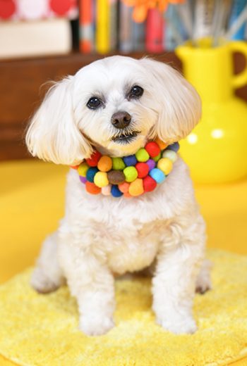 009宙（ソラ）くん