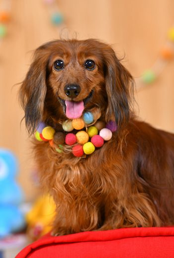 013生澤フローラちゃん