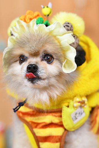 012ぽーちんくん