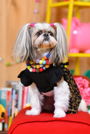 019りんりんちゃん